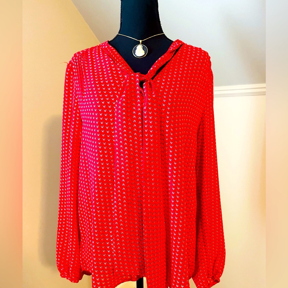 DR2 long sleeves sheer blouse